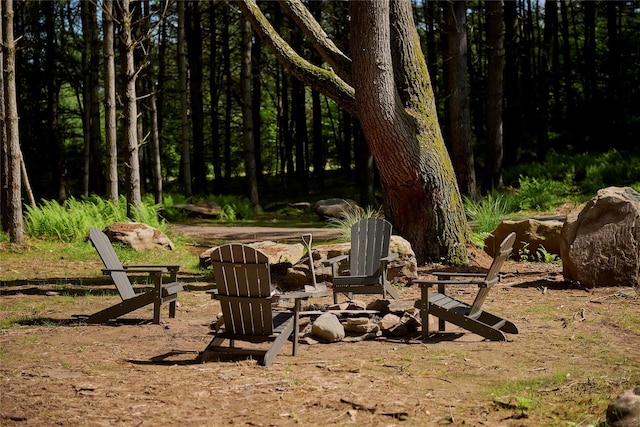 252 Swamp Pond Rd, Narrowsburg, NY 12764 - view of yard with a fire pit