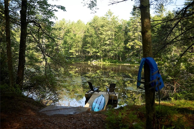 252 Swamp Pond Rd, Narrowsburg, NY 12764 - dock with a view of trees and a water view
