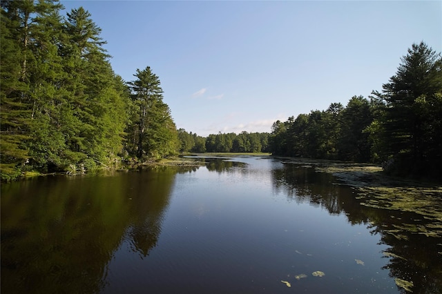 252 Swamp Pond Rd, Narrowsburg, NY 12764 - water view featuring a forest