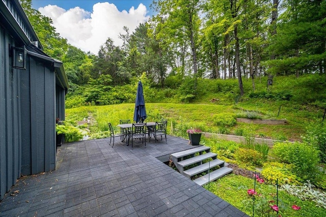 11 Cove Rd, Rhinebeck, NY 12572 - photo 30