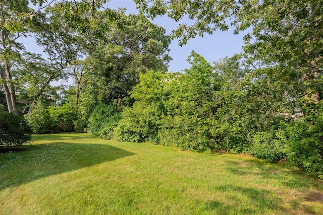 10 Jan Ct, Ronkonkoma, NY 11779 - view of green lawn