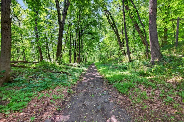 60 Palomino Pl, New Windsor, NY 12553 - view of street featuring a wooded view