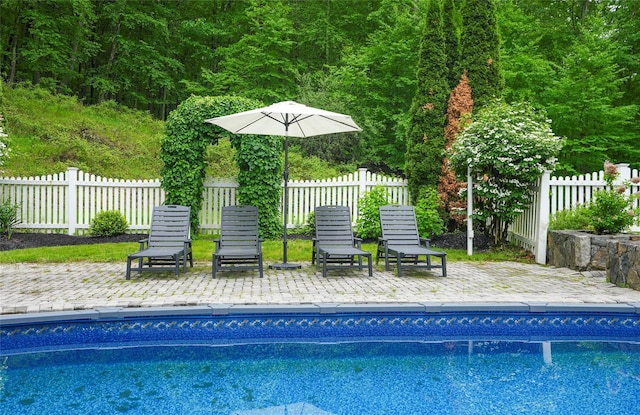 212 Weber Hill Rd, Carmel, NY 10512 - view of swimming pool with a patio area