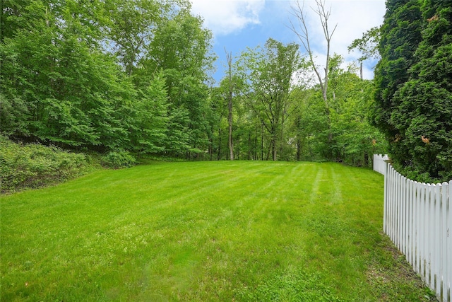212 Weber Hill Rd, Carmel, NY 10512 - view of yard