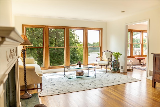 81 Seaview Ave, New Rochelle, NY 10801 - living room with plenty of natural light, wood finished floors, and crown molding