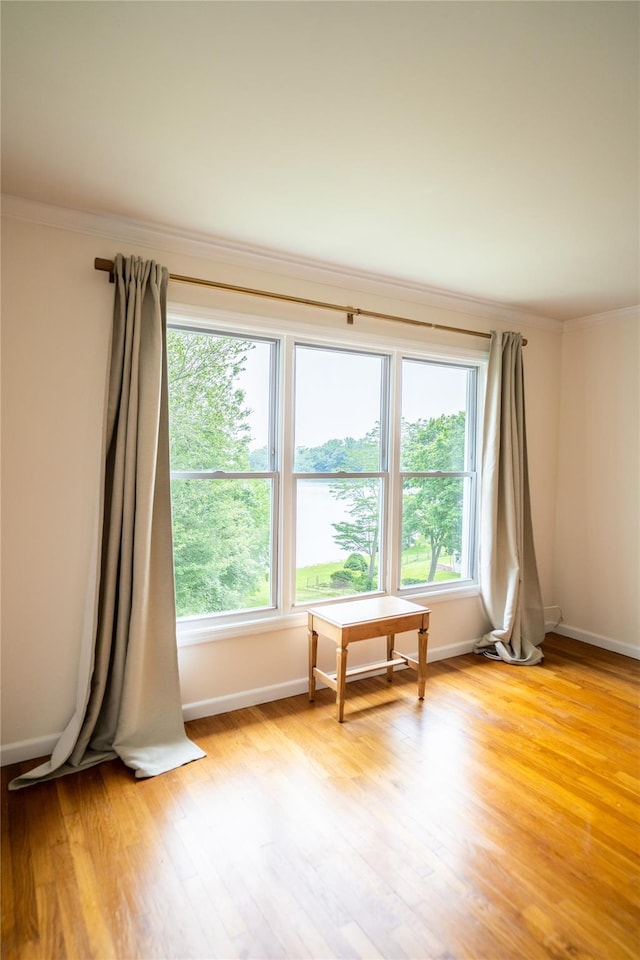 81 Seaview Ave, New Rochelle, NY 10801 - unfurnished room with crown molding, plenty of natural light, and light wood-style floors