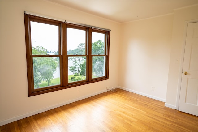 81 Seaview Ave, New Rochelle, NY 10801 - spare room featuring light wood-style flooring and ornamental molding