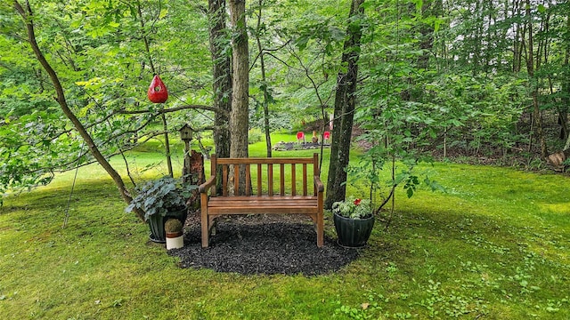 189 School House Rd, Middletown, NY 10940 - view of community featuring a yard