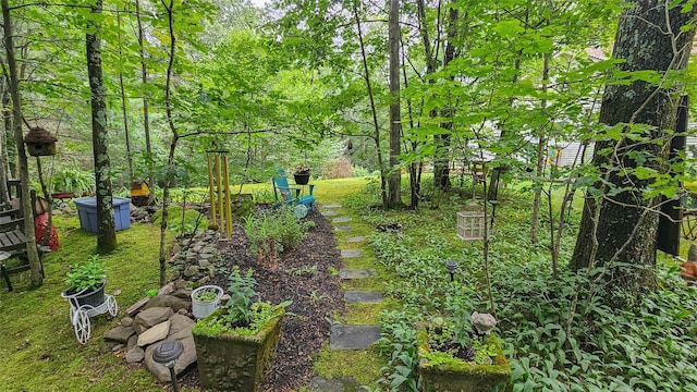 189 School House Rd, Middletown, NY 10940 - view of yard