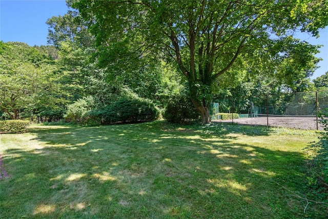 6 Beardsley Ln, Lloyd Harbor, NY 11743 - view of yard