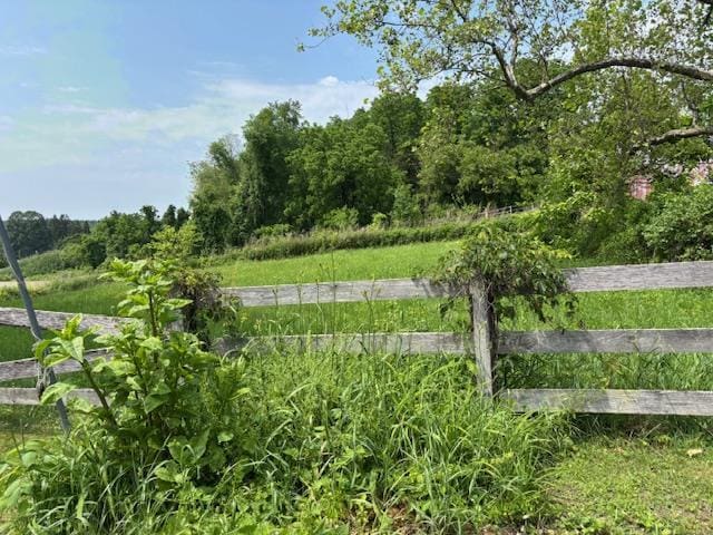 11 Seaman Rd, Stormville, NY 12582 - view of nature