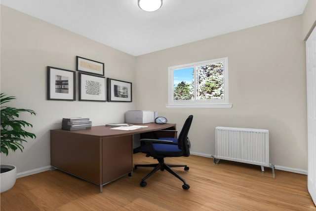 9 Rhodes Ln, West Hempstead, NY 11552 - office featuring radiator and light wood-style floors