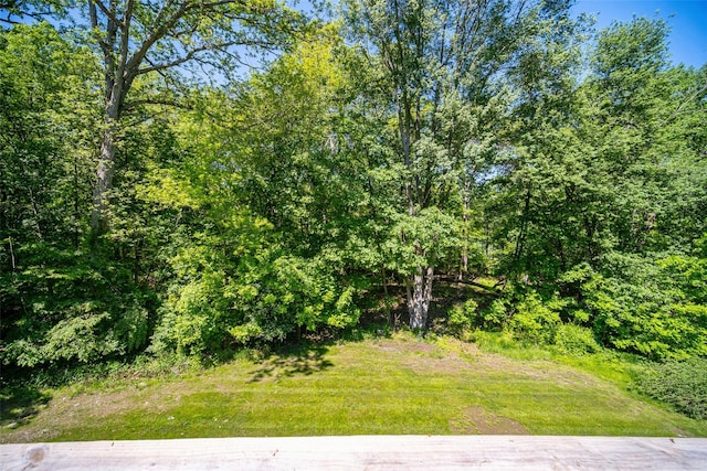 789 Jackson Ave, New Windsor, NY 12553 - photo 23