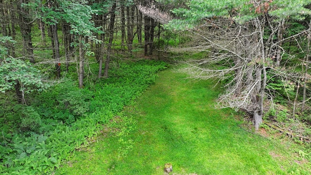 156 Creamery Rd Unit Tr20, Swan Lake, NY 12783 - view of yard