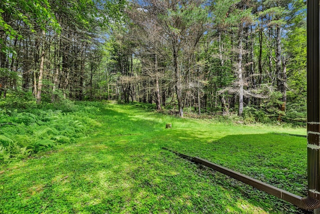 156 Creamery Rd Unit Tr20, Swan Lake, NY 12783 - view of grassy yard