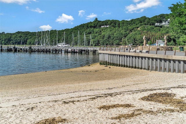 712 Brewster Dr, Port Jefferson, NY 11777 - photo 47