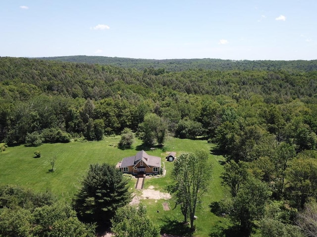145 Salem Ridge Cir, Parksville, NY 12768 - photo 9