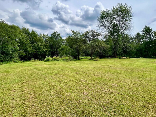 145 Salem Ridge Cir, Parksville, NY 12768 - photo 10