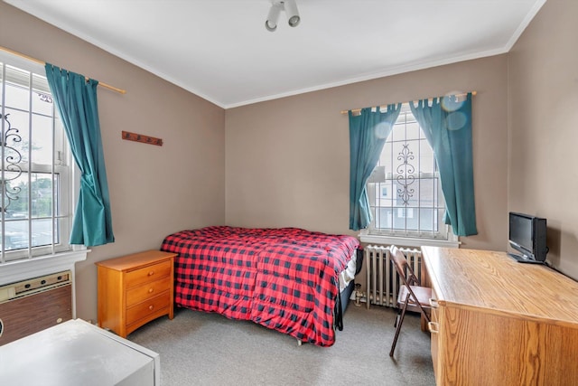 5802 201st St, Bayside, NY 11364 - bedroom featuring radiator, multiple windows, carpet flooring, and crown molding
