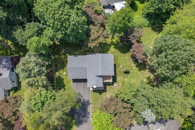 1299 Williams Dr, Shrub Oak, NY 10588 - view of property location