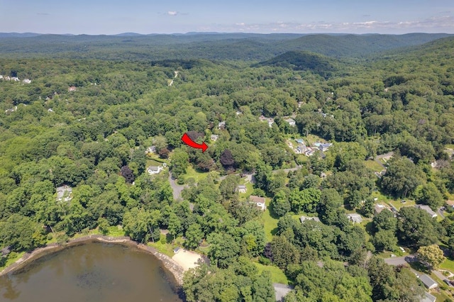 1299 Williams Dr, Shrub Oak, NY 10588 - view of property location featuring a forest and a large body of water