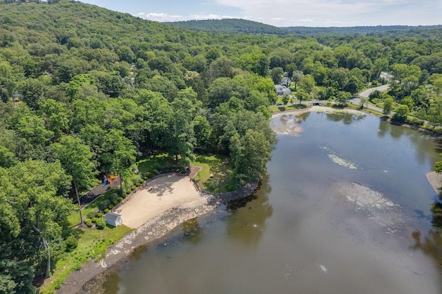 1299 Williams Dr, Shrub Oak, NY 10588 - aerial view of a forest and a nearby body of water
