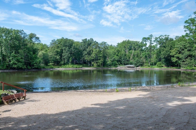 1299 Williams Dr, Shrub Oak, NY 10588 - water view featuring a forest
