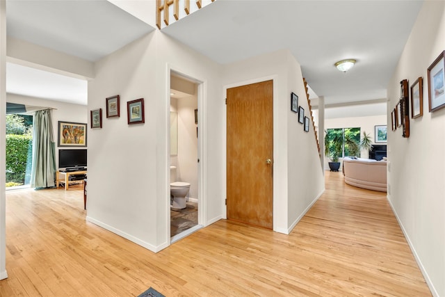 8 Braemer Rd, East Setauket, NY 11733 - hallway with light wood-style floors and plenty of natural light