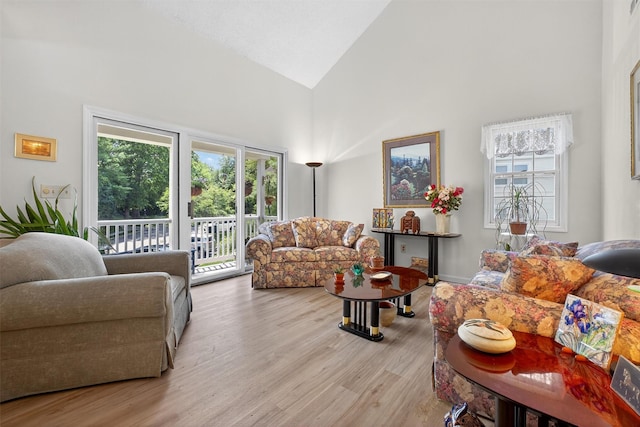 41 Millholland Dr, Fishkill, NY 12524 - living area featuring high vaulted ceiling and light wood-type flooring