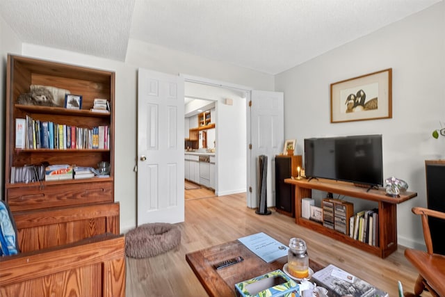 41 Millholland Dr, Fishkill, NY 12524 - living area with light wood finished floors