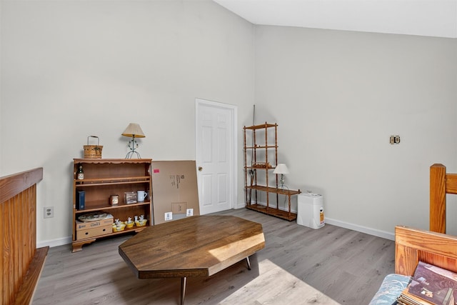 41 Millholland Dr, Fishkill, NY 12524 - living area with wood finished floors and high vaulted ceiling