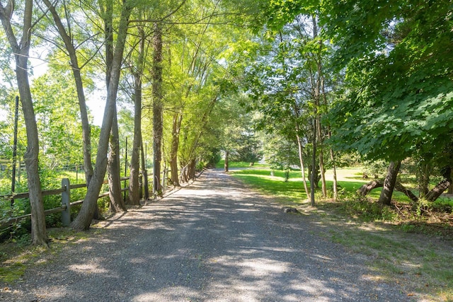 5 Shore Dr, Setauket, NY 11733 - view of road