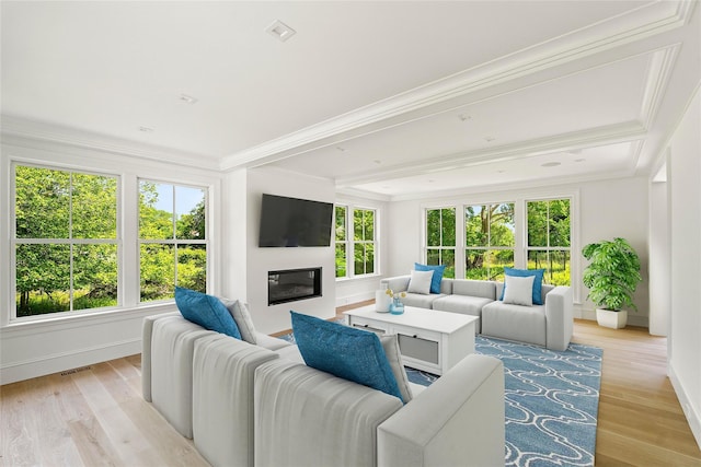 161 S Rd, Westhampton, NY 11977 - living room with light wood-style flooring, crown molding, and a glass covered fireplace
