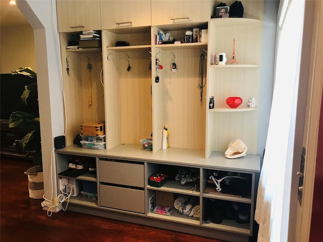 92-38 77th St, Woodhaven, NY 11421 - mudroom featuring arched walkways and dark wood-type flooring