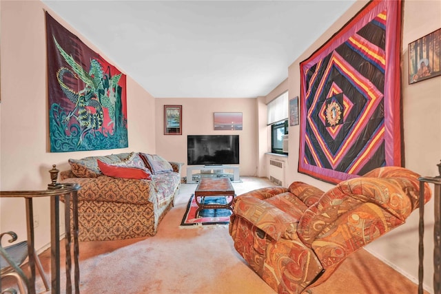 26-20 141st St Unit 2G, Flushing, NY 11354 - living area featuring carpet floors and radiator