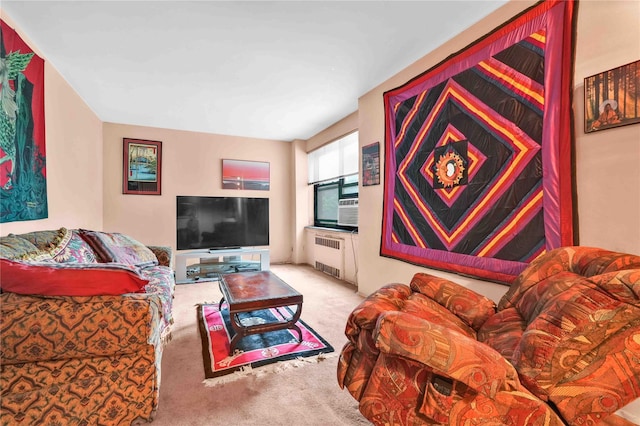 26-20 141st St Unit 2G, Flushing, NY 11354 - living area featuring radiator and carpet floors