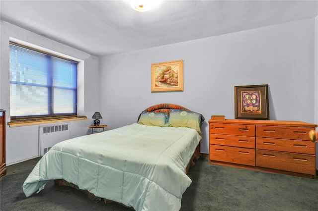 26-20 141st St Unit 2G, Flushing, NY 11354 - carpeted bedroom with radiator heating unit