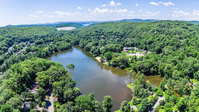 14 Birch Ter, Garrison, NY 10524