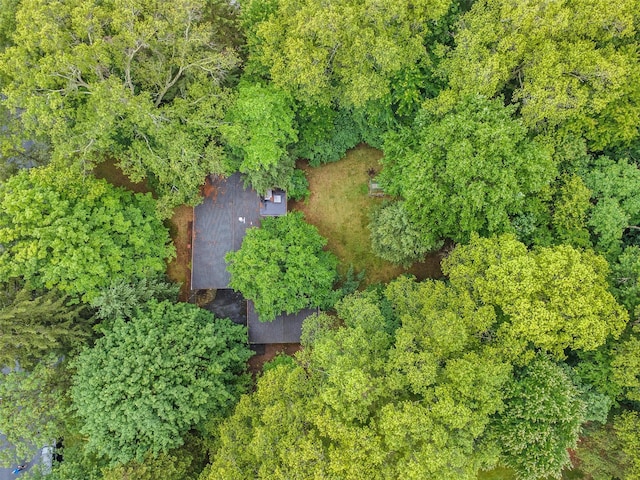 12 Dale Rd, Monsey, NY 10952 - photo 35