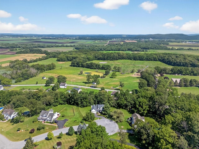 11 Walden Ct, New Hampton, NY 10958 - photo 47