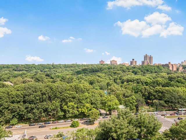4414 Cayuga Ave Unit 6E, Bronx, NY 10471 - photo 3