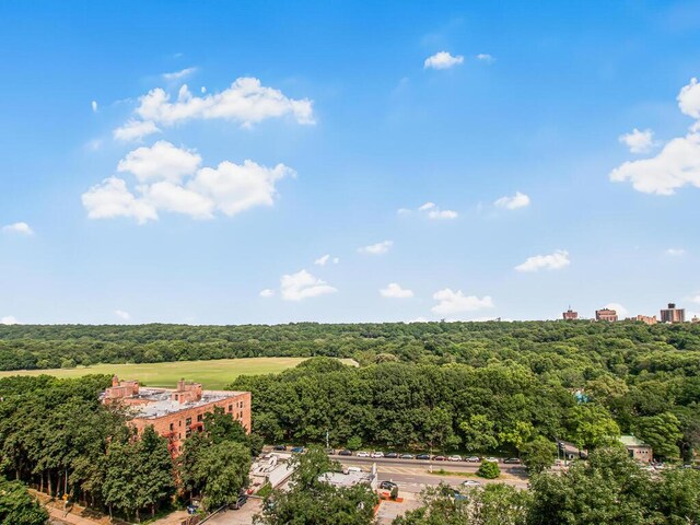 4414 Cayuga Ave Unit 6E, Bronx, NY 10471 - photo 4
