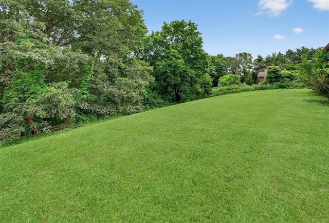 503 Station Rd, Rock Tavern, NY 12575 - photo 39
