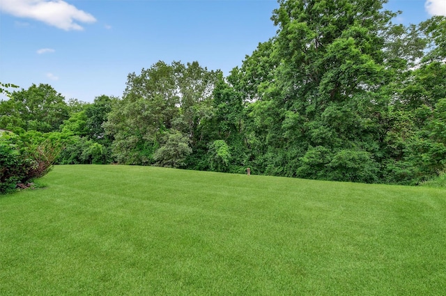 503 Station Rd, Rock Tavern, NY 12575 - photo 40