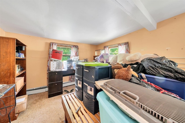 14 Silver Trl, Monroe, NY 10950 - photo 17
