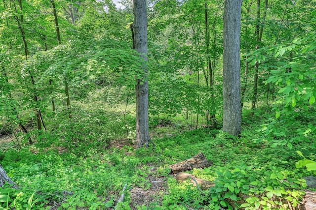 14 Silver Trl, Monroe, NY 10950 - photo 26
