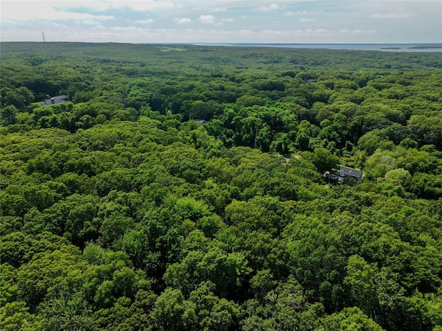 884 Brick Kiln Rd, Sag Harbor, NY 11963 - photo 10