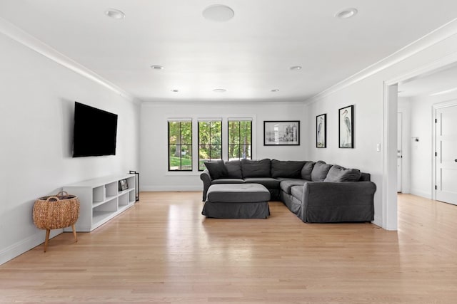 9 Guthrie Ct, East Northport, NY 11731 - living room with light wood-type flooring, crown molding, and recessed lighting