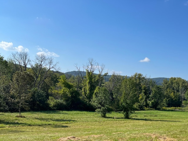 Kent Rd, Wassaic, NY 12592 - photo 2