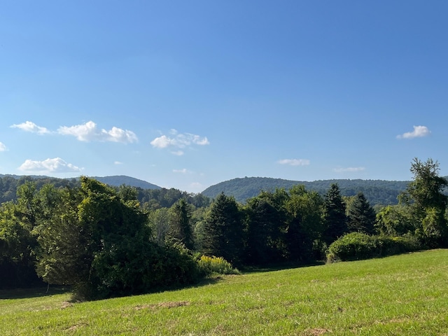 Kent Rd, Wassaic, NY 12592 - photo 3